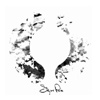 sigur-ros-%c2%bb%c2%ab