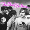 the-blood-brothers