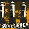 venerea-%c2%bbone-louder%c2%ab