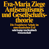 Eva-Maria Ziege »Antisemitismus und Gesellschaftsth.« 